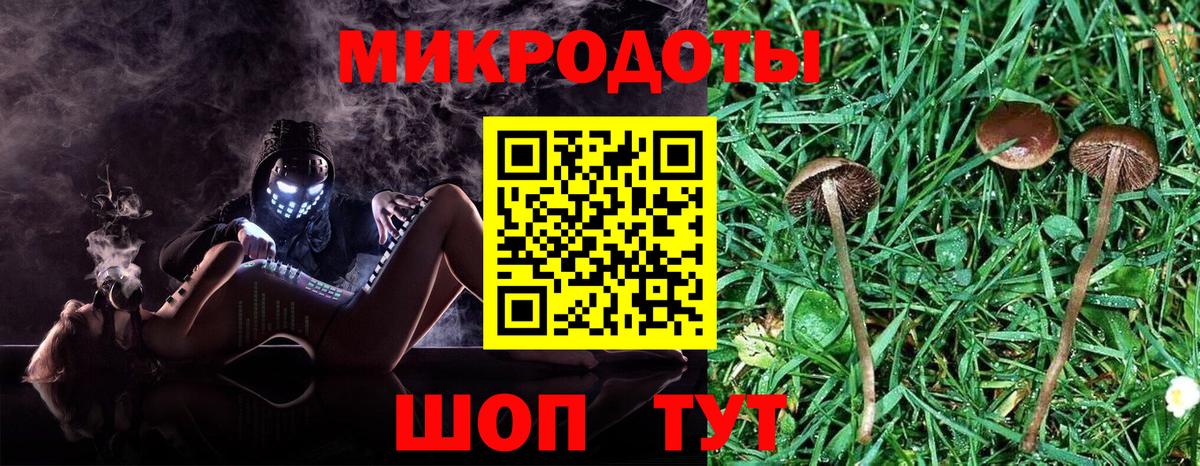 Галлюциногенные грибы Cubensis Усть-Джегута