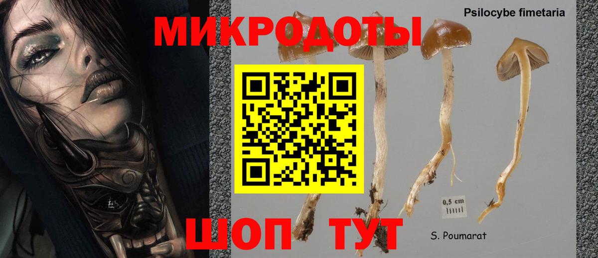 Усть-Джегута  Псилоцибиновые грибы мицелий  Галлюциногенные грибы GOLDEN TEACHER  Вход с VPN 