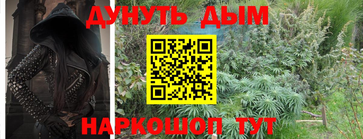Бошки Шишки Ganja  Каннабис тримм  Марихуана Bruce Banner  Вход с VPN  Усть-Джегута 